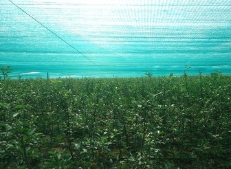 Horticulture Water Transfer