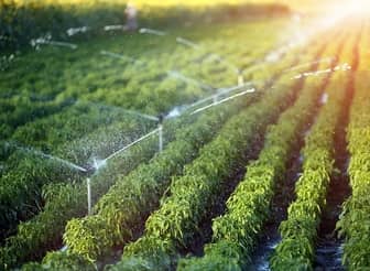 Irrigation