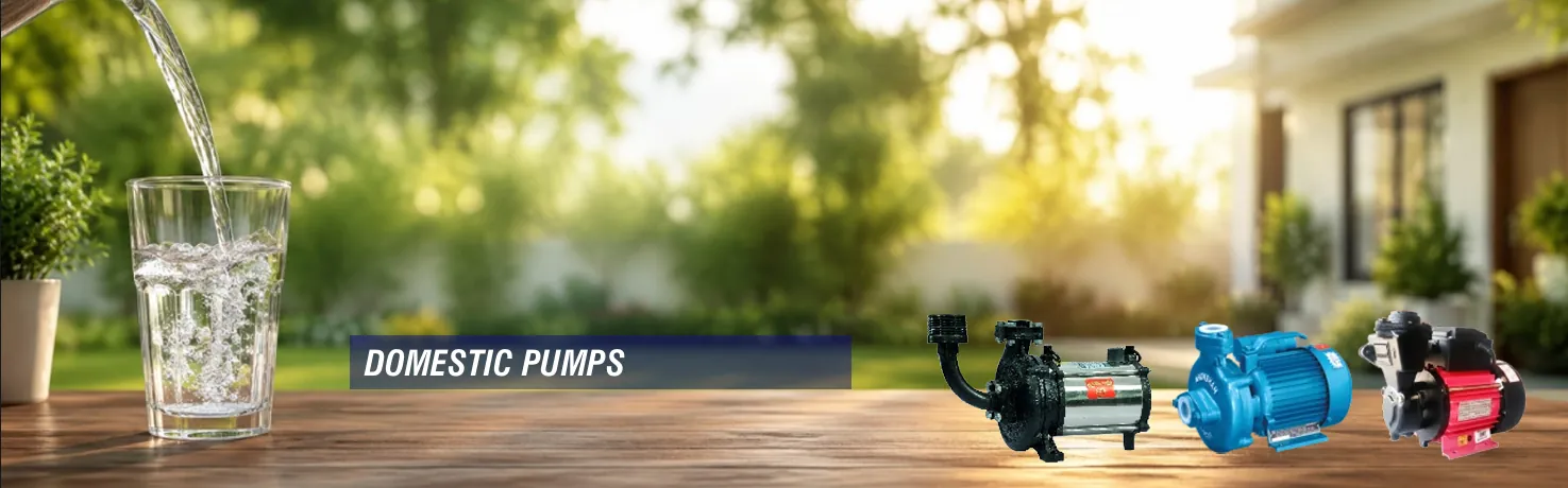 Domestic Pumps